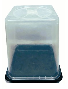 Serra per Coltivazione Funghi 25x25x27.5cm 2