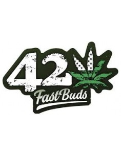 Fast Buds - Apple Strudel Auto - 10 Semi 2