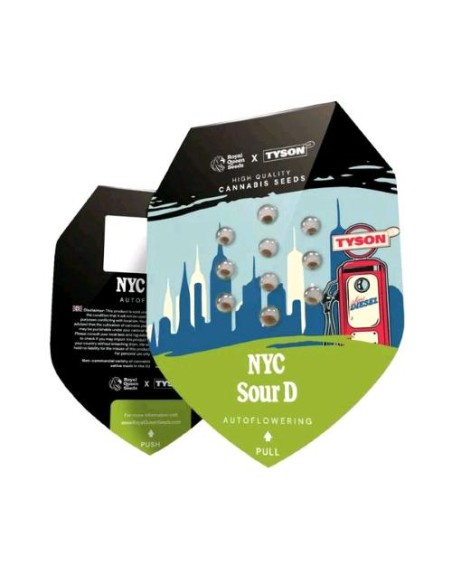 Royal Queen Seeds x Tyson - NYC Sour D 3 Semi - Auto