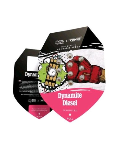 RQS x Tyson Dynamite Diesel 5 Semi  Fem