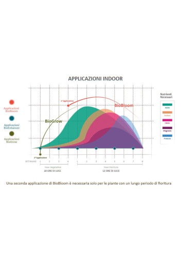 Power feeding Bio Bloom 50 Gr
