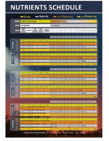 Powder Feeding Bio Grow 125 Gr