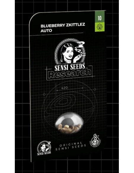Sensi Seeds Blueberry Zkittlez Auto: aroma fruttato, rapida fioritura e resa abbondante in ogni condizione. Sensi Seeds Blueberry Zkittlez Auto: aroma fruttato, rapida fioritura e resa abbondante in ogni condizione.