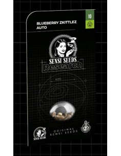 Sensi Seeds Blueberry Zkittlez Auto: aroma fruttato, rapida fioritura e resa abbondante in ogni condizione. 2