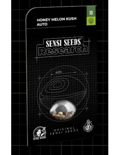 Sensi Seeds Honey Melon Kush Auto: varietà autofiorente dolce con tempi di fioritura rapidi e raccolti abbondanti. 2