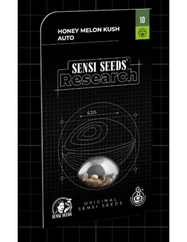 Sensi Seeds Honey Melon Kush Auto: varietà autofiorente dolce con tempi di fioritura rapidi e raccolti abbondanti.