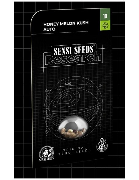 Sensi Seeds Honey Melon Kush Auto: varietà autofiorente dolce con tempi di fioritura rapidi e raccolti abbondanti.