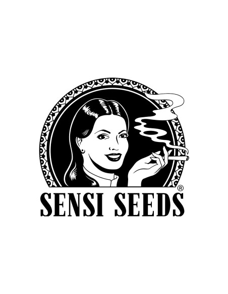 Sensi Seeds Honey Melon Kush Auto 5 Semi