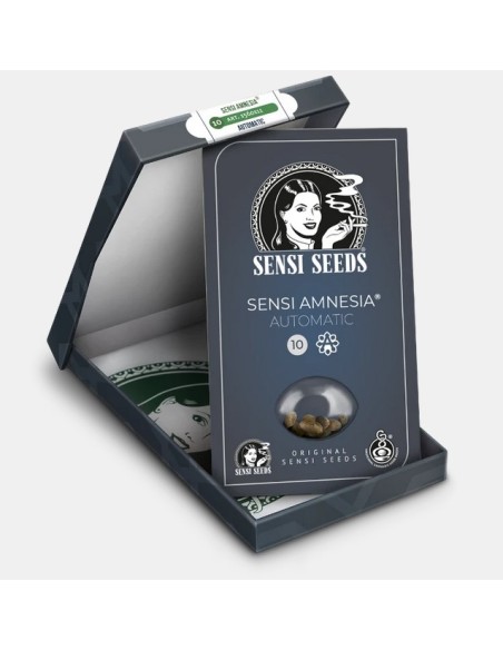 Sensi Seeds Amnesia Auto 5 Semi