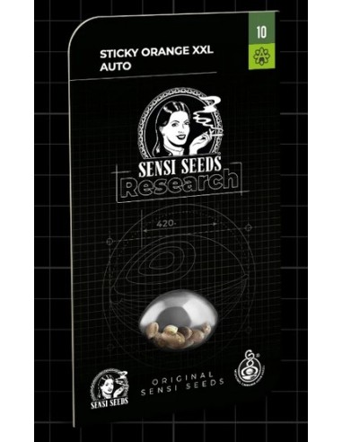Esplora la potenza e l'aroma agrumato di Sensi Seeds Sticky Orange XXL Auto, un'autofiorente di prima classe