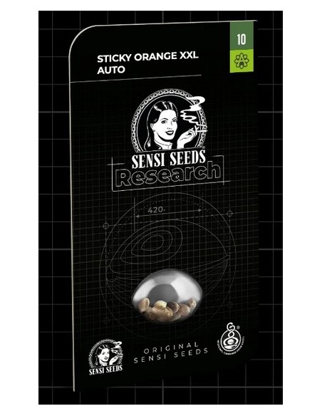 Esplora la potenza e l'aroma agrumato di Sensi Seeds Sticky Orange XXL Auto, un'autofiorente di prima classe