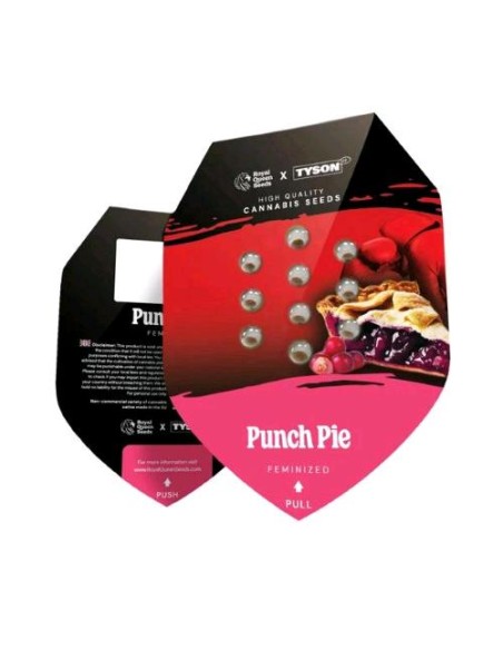 Royal Queen Seeds x Tyson Punch Pie Femm 1 Seme