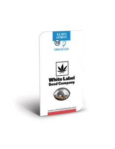 Scopri la potente White Label OG Kush Auto: crescita rapida, alto rendimento e sapore inconfondibile 2