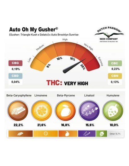 Dutch Passion Oh My Gusher 7 Semi Auto