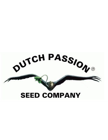 Dutch Passion SFV OG 3 Semi Auto