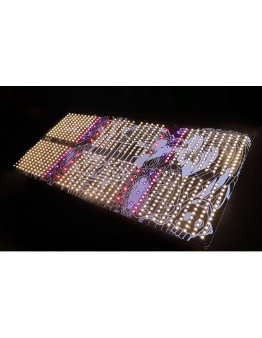 The Jungle The Jackson Nemesis Dimmerabile 250W