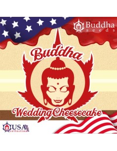 Buddha Seeds Wedding Cheesecake Fem USA Collection 2