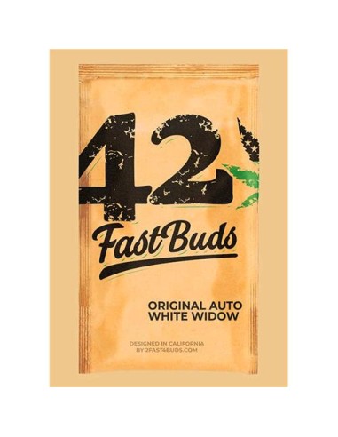 Original Auto White Widow di 420 Fast Buds: la migliore autofiorente, alta resa e facile coltivazione