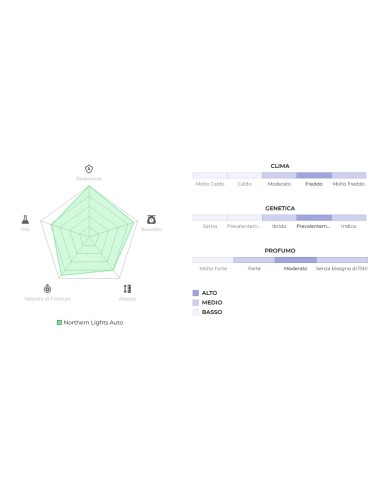 Original Auto Northern Lights del marchio 420 Fast Buds: una genetica autofiorente di alta qualità