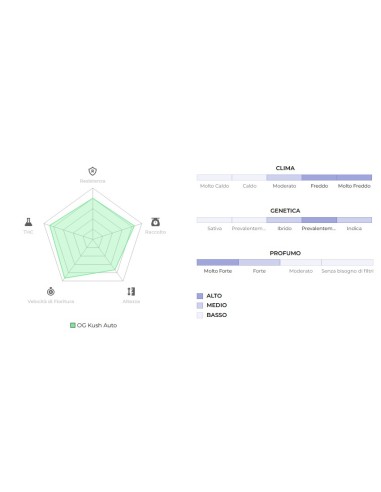Original Auto OG Kush di 420 Fast Buds: qualità superiore per coltivatori e fumatori