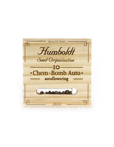 Auto Chem Bomb - Humboldt Seed Organization: potenza esplosiva e qualità superiore per coltivatori esperti.