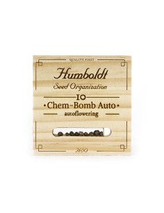 Auto Chem Bomb - Humboldt Seed Organization: potenza esplosiva e qualità superiore per coltivatori esperti. 2