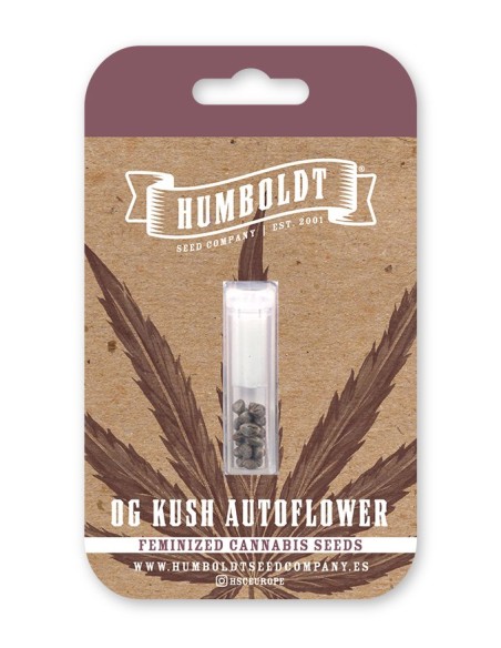 Scopri l'Auto OG Kush di Humboldt Seed Organization: un'esperienza unica per i veri appassionati di cannabis.
