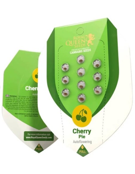 Auto Cherry Pie di Royal Queen Seeds: delizia autofiorente con sapori dolci e fioritura rapida.
