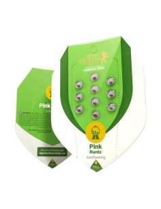 Auto Pink Runtz di Royal Queen Seeds: varietà autofiorente dai colori vivaci e sapore dolce, perfetta per ogni collezione 2