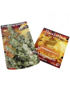 Buddha Seeds - Magnum Auto 2
