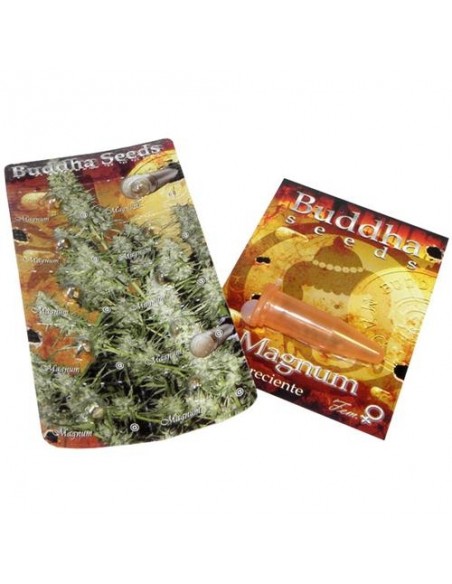 BUDDHA SEEDS - MAGNUM AUTO - BLISTER 50 SEMI SEPARABILI femminizzati da collezione grow shop