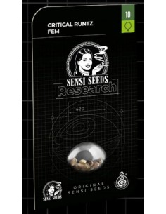 Critical Runtz Fem: semi femminizzati, genetica 70% indica e 30% sativa. 2