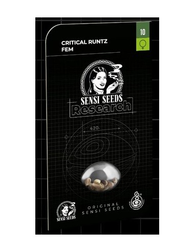 Critical Runtz Fem: semi femminizzati, genetica 70% indica e 30% sativa.