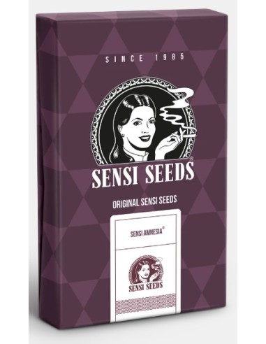 Sensi Amnesia Fem: sativa dominante, grande resa e sapore tropicale.