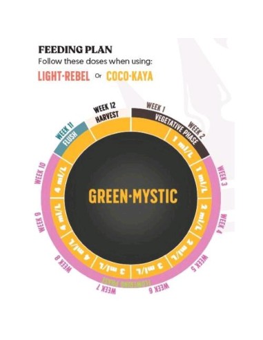 Green Mystic di BioBizz: stimolante biologico a base di estratto di alghe marine per una crescita e fioritura ottimali.