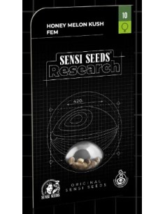 Honey Melon Kush Fem di Sensi Seeds: indica dominante, sapori fruttati, raccolti abbondanti 2