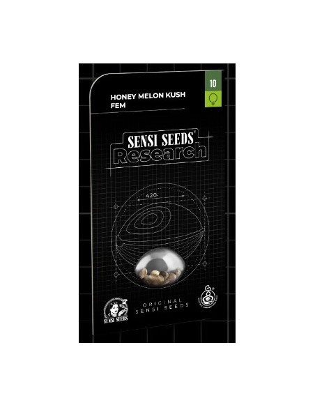 Honey Melon Kush Fem di Sensi Seeds: indica dominante, sapori fruttati, raccolti abbondanti
