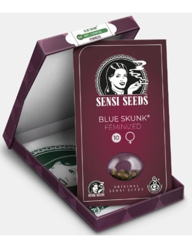 Semi di Blue Skunk Femminizzati di Sensi Seeds: una varietà indica con un aroma unico