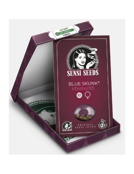 Semi di Blue Skunk Femminizzati di Sensi Seeds: una varietà indica con un aroma unico