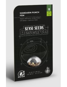 Mandarin Punch Fem, semi femminizzati di alta qualità da Sensi Seeds, perfetti per raccolti tropicali abbondanti. 2