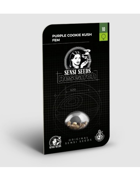 Semi di Purple Cookie Kush Fem di Sensi Seeds: Girl Scout Cookies x Purple Kush