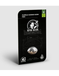 Semi di Purple Cookie Kush Fem di Sensi Seeds: Girl Scout Cookies x Purple Kush 2