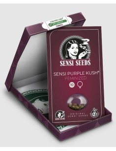 Sensi Seeds - Semi Purple Cookie Kush Femminizzati 2