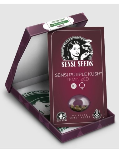 Sensi Seeds - Semi Purple Cookie Kush Femminizzati