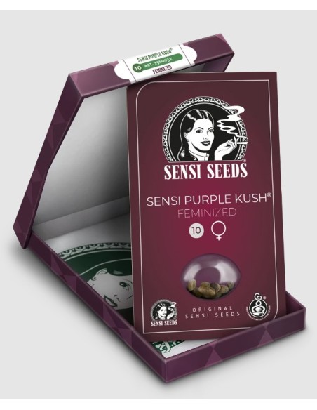 Sensi Seeds - Semi Purple Cookie Kush Femminizzati