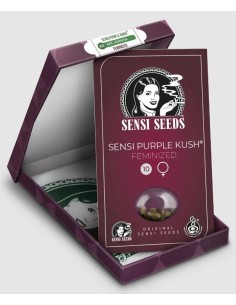 Tezla OG Fem, varietà di semi di cannabis femminizzati di Sensi Seeds. 2
