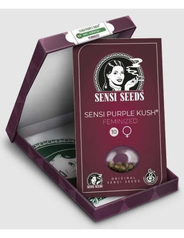 Tezla OG Fem, varietà di semi di cannabis femminizzati di Sensi Seeds.