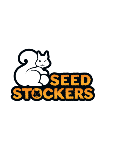 Seed Stockers Bruce Banner Fem: una varietà di cannabis sativa con genetica OG Kush X Strawberry Diesel. 2