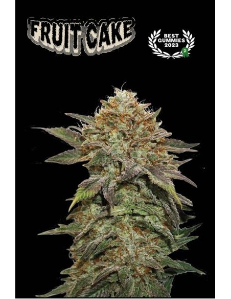 Fruit Cake Fem 3 Semi: Indica fruttata e potente Fruit Cake Fem 3 Semi: Indica fruttata e potente