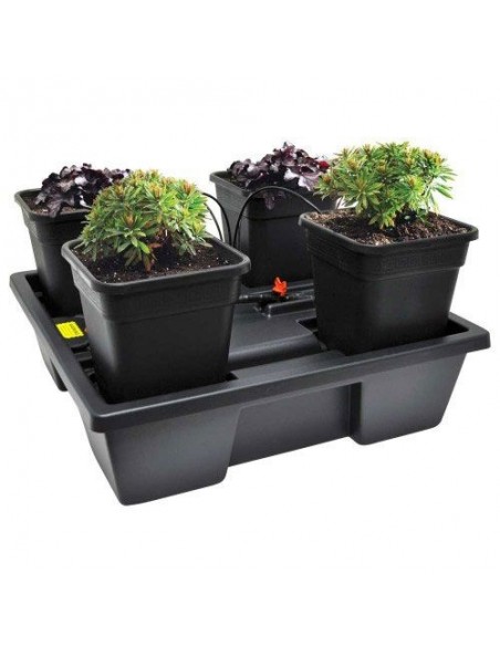 Nutriculture Wilma Origin XL 4 25L (90x90)cm